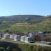 Housing Sociale Loc Fontanelle render fotoinserimento dell'intervento sul lotto